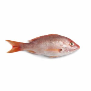 Pescado de mar Pargo 10lb