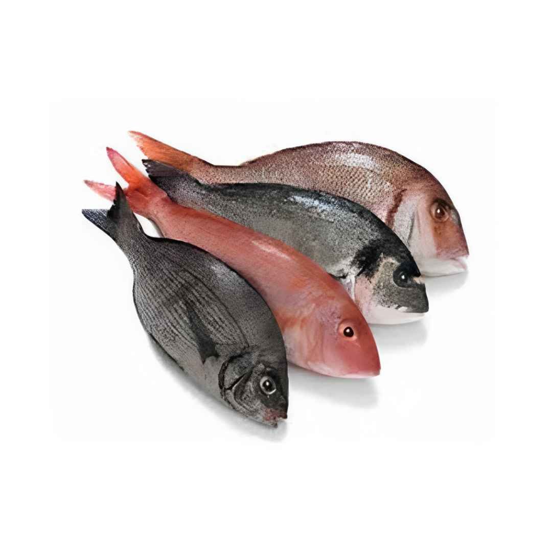Pescado de mar (Jurel, Pargo, Merluza, Perro o Bonito) 10lb